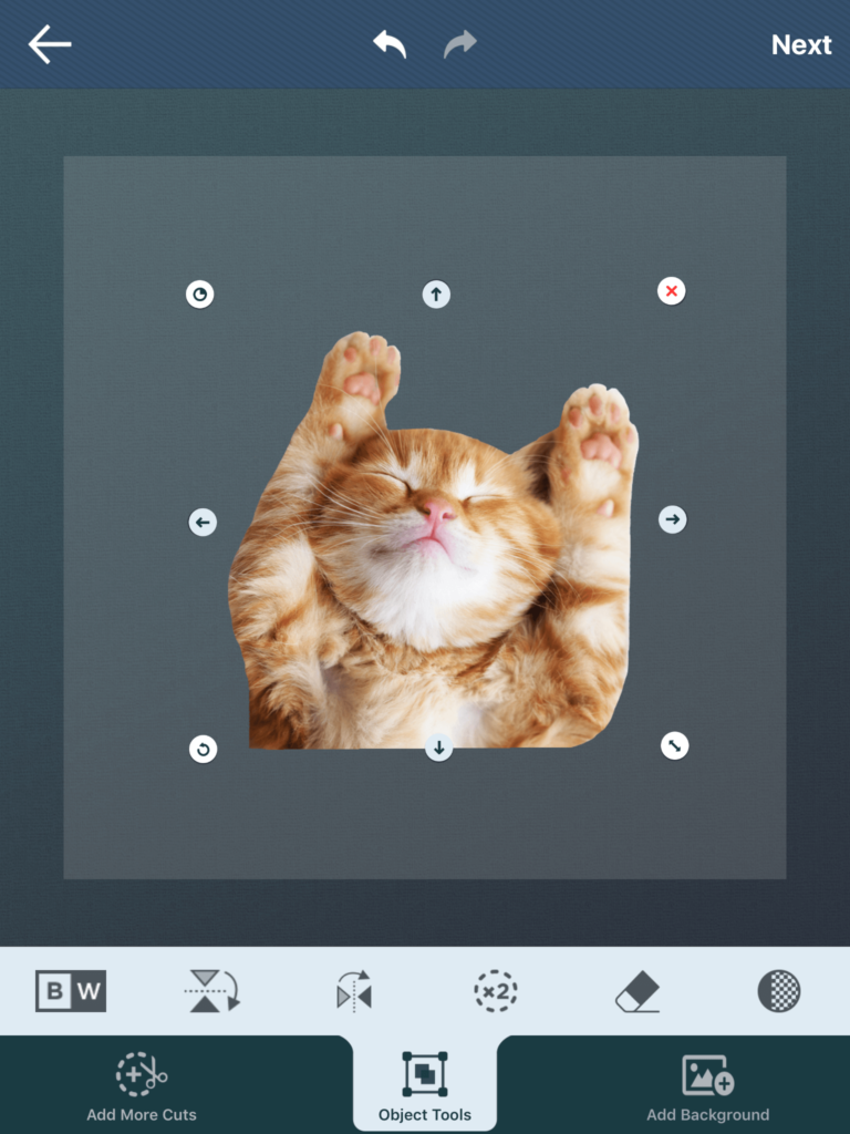 Cut-Paste-Kitten-Transparent-Background